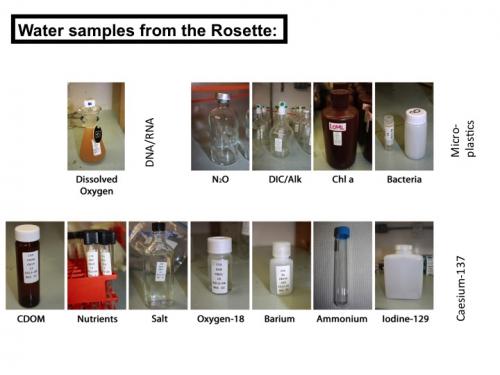 Samples taken from the Rosette