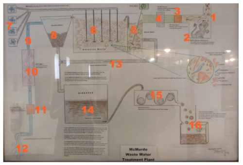 Full Diagram of Wastewater Treatment Process