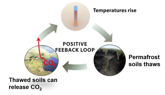 Permafrost Positive Feedback Loop