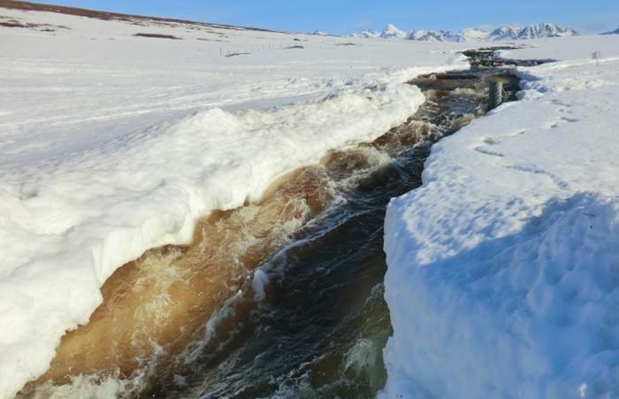 Organics Make Arctic Streams Colorful