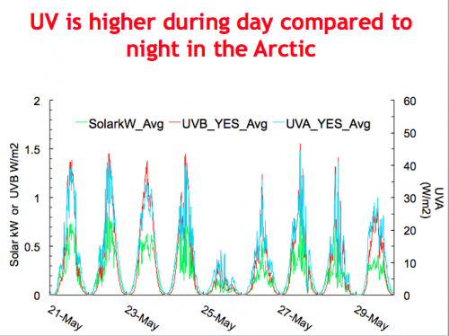 UV day vs. night