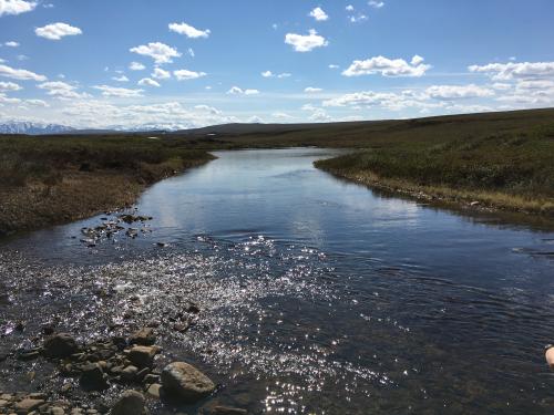 Toolik Inlet Stream