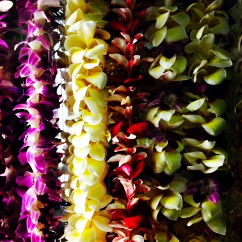 Fresh flower leis