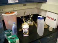 Lab Stuff - You Find the Most Interesting Things in a Science Lab!! 