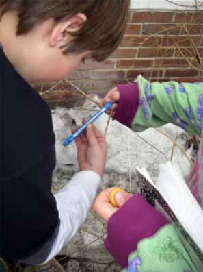 Checking the temperature during the Snow and Air Lab