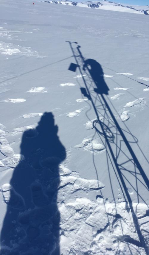 Shadows in the field