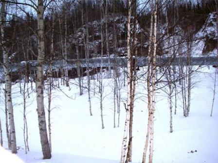 Section of Trans Alaska Pipeline near Fairbanks, Alaska