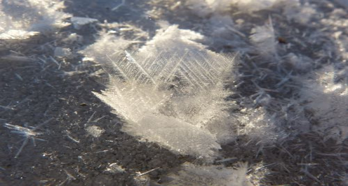 Feathery ice