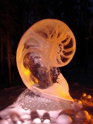 nautilus at the Ice Park