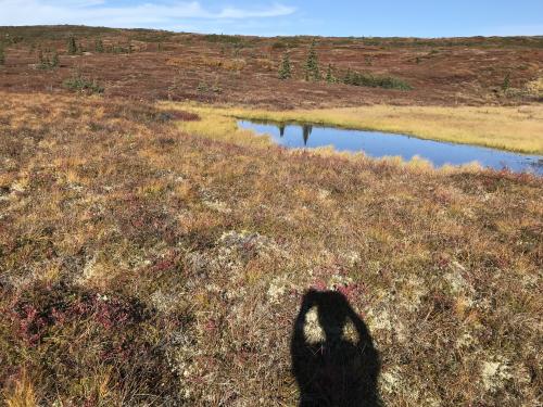 Hike to Reflection Pond