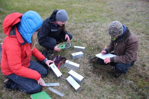 Recording Lemming Data