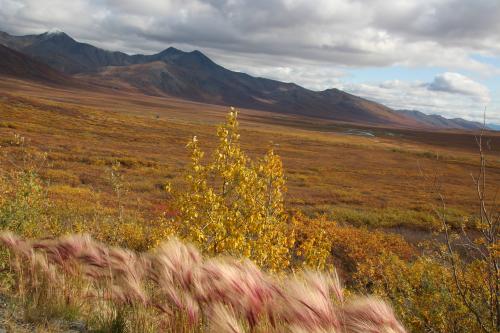 Dalton Highway Landscape