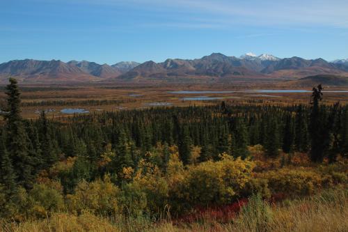 Changing Fall Colors