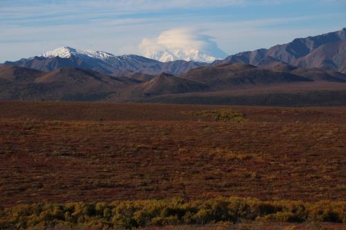 First views of Denali.