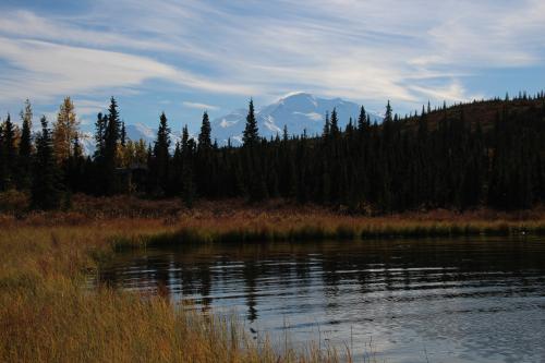 View at Wonder Lake