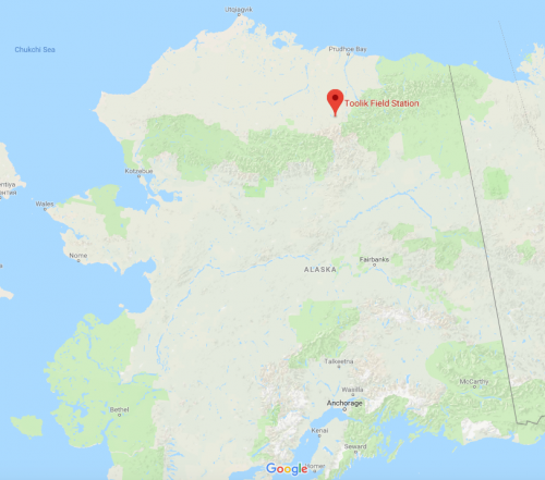 Google Map of Toolik Field Station