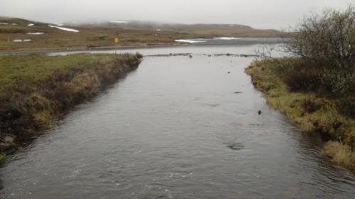 Toolik Inlet