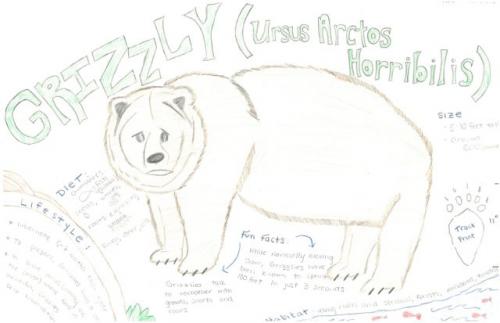 Grizzly bear species journal