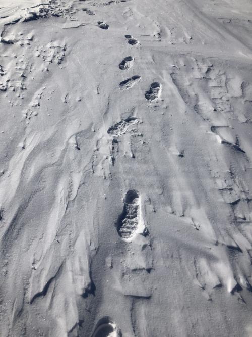 Footprints in the snow