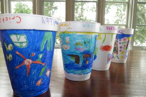 Springs School Elementary student cups!