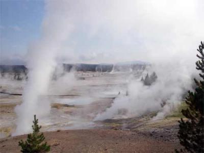 Noris Geyser Basin, Yellowstone