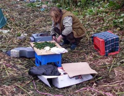 Anastasia, the camp cook