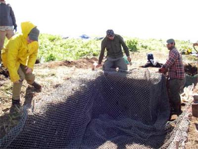 Laying Down Netting