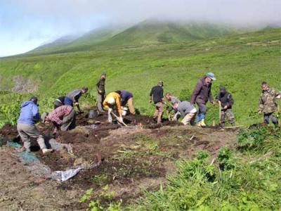 Backfilling the Vodapadnaya Excavation