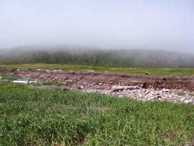 Tsunami-Eroded Scarp