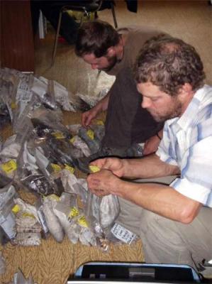 Matt Walsh and Mike Etnier work to organize and verify samples from Vodapadnaya