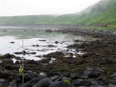 Misty Nikula measuring Profiles on Matua