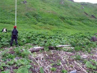 Stripped Soil on Ketoy