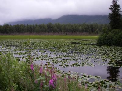 Inland lake