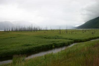 Sunken Land at Girwood