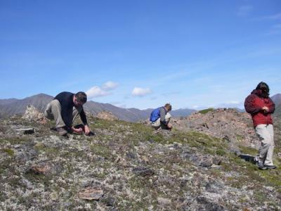 Chris, Caleb, and Heidi pick blueberries.