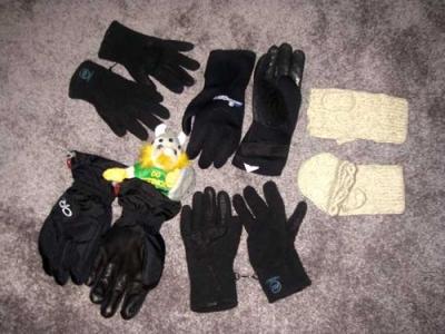 Gloves for all purposes.  The Viking selected his favorite.