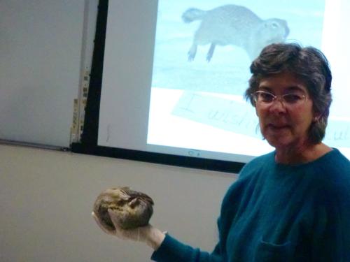 Jeanette Moore and Arctic Ground Squirrel