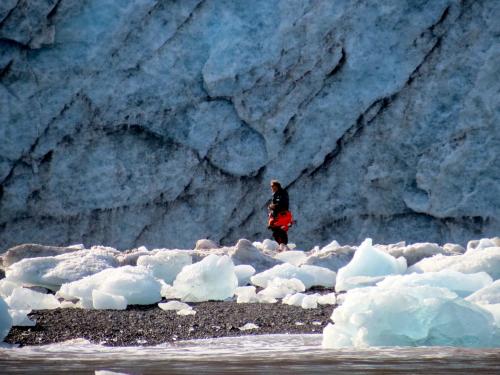 About what percent of Earth is currently glaciated?  Ross checking out Keanland.