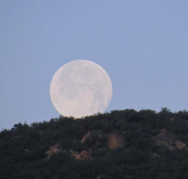 Full moon May 14 from Pine Valley