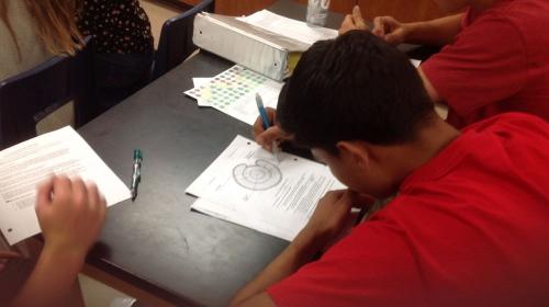 Looking at tree ring data to understand past climate