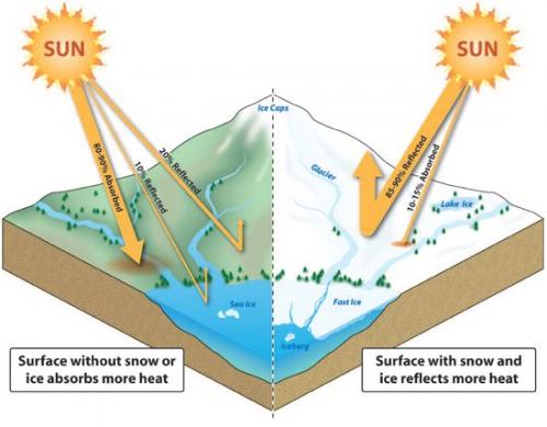 More sunlight is reflected at the poles due to the high albedo of the surface.