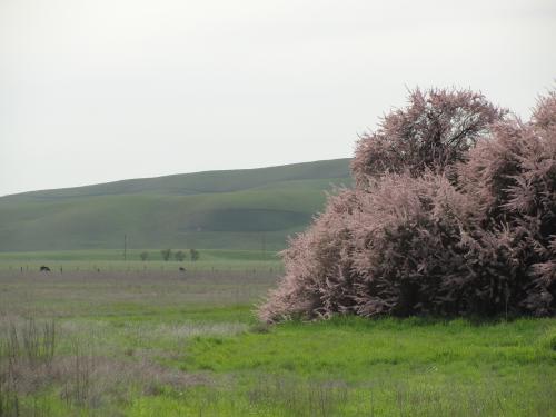 First Day of Spring