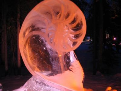 Chambered nautilus carved from ice