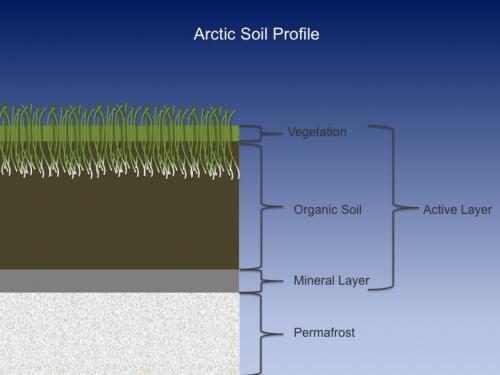 Arctic Soil Profile