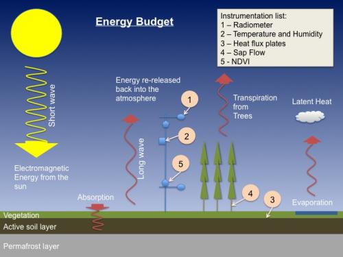 Energy Budget