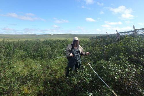 Sagwon field work