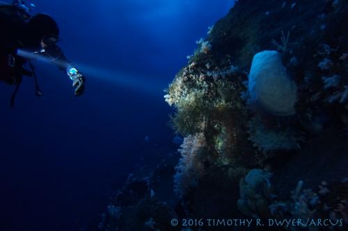 dive computer light