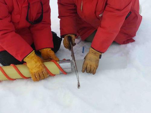 Sea ice core