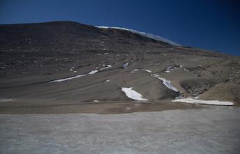 Field Photo from Lucy Coleman