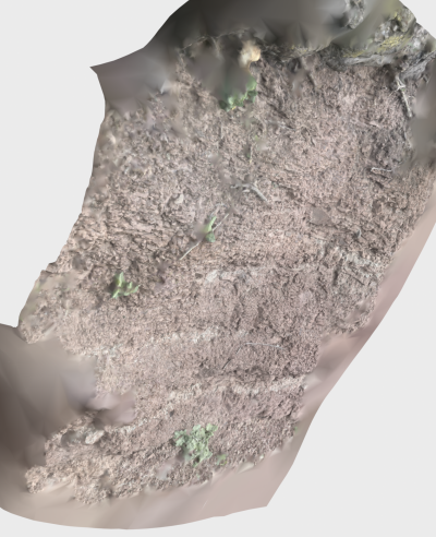 3D rendered image of geologic outcrop.